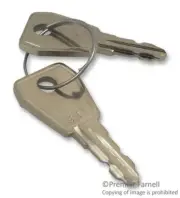 Common Key Spare (Pair) Switch Components Keys - 901