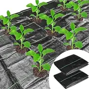 2Pcs 1x10M Weed Control Membrane with Holes - Weed Barrier - Landscape Fabric with Planting Holes, Garden Ground Membrane Mats with 10 Steel Pegs