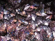 Sequins Leaves Laser Dusty Pink 20g DIY Crafts Sewing Costumes