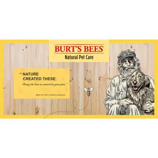 Burt's Bees 小蜜蜂爺爺 天然肌蜜 沐浴露 10oz ( 寵物 貓 小貓 沐浴乳 沐浴精 洗毛精 )
