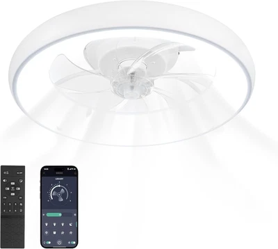 Ceiling Fans with Lights and Remote, 19.69''Low Profile Ceiling Fan with Light,