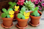 10x Dual Sided Sticky Trap Insect Killer Whitefly Thrip Fruit Fly Gnat AU STOCK