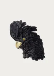 [Namly Design] Poster - Black Cockatoo