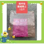 【弘藝園藝】根呼吸/椰磚(5KG)椰土壓縮包