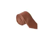 Burton Mens Textured Tie (Rust) (One Size)