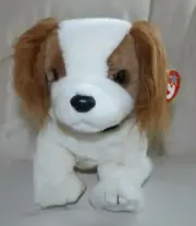 TY Beanie Buddy Regal Cavalier King Charles Spaniel Dog White Brown 2001 - NWT