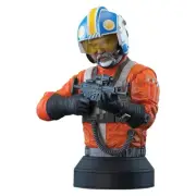 Star Wars The Mandalorian Carson Teva Exclusive 1/6 Scale Bust