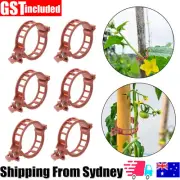 100Pcs Tomato Greenhouse Ties Veggie Plant Support Clips Garden Trellis Stake NE