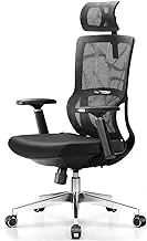 Lifting Rotating Computer Chair Ergonomic Office Desk Chair Mesh Swivel Chair with Backs, Computer Chair with Lumbar Support, Adjustable Height, Easy to Mount, Max Load 130KG, Black,70x13x60cm