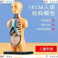 在飛比找蝦皮購物優惠-【愛家生活館】人體構造模型 模型玩具 兒童科教人體器官模型 