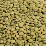 3KG BULK GREEN LENTILS - FREE POST