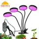 免運 植物燈 全光譜LED植物生長燈USB夾子定時調光家用綠植花卉多肉補光燈5V