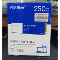 在飛比找蝦皮購物優惠-WD 藍標SN570 250GB SSD PCIe NVMe