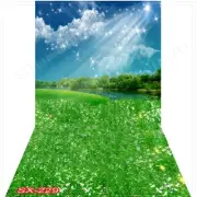 10'x20' CP Outdoor Grass Sky Scenic Microfiber Fabric background backdrop SX229