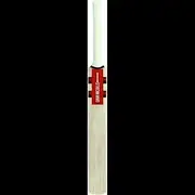 Gray Nicolls Technique 85 Training Cricket Bat