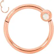[365 Sleepers] 316L Surgical Steel 16G 8mm 10mm Opal BCR Ball Closure Ring Hinged Hoop Segment Nose Ring Helix Tragus Septum Unisex Earring Body Piercing Jewelry