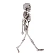 Skeleton Full Life Size Poseable Human Halloween Party Prop Haunted House Decor