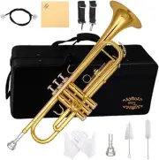 Glory Bb trumpet Beginner Or Advanced Student With Case, Pair Of Gloves, Gold