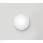 Xiaomi 350 Smart LED Ceiling Light, Max 3000lm, 35Cm 24W Fast Installation,