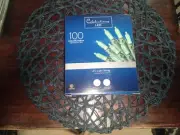 Celebrations Led Green Mini 100 Indoor/Outdoor Led Light String