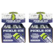 Van Holten's Pickle-Ice Freeze Pops Twin Pack - 48 Pops