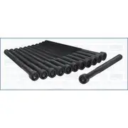 Austral Cylinder Head Bolt Set - 81039000