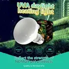 E27 Turtle Reptile Lizard Basking Light Heat Lamp Heater UVB/UVA Halogen Bulbs