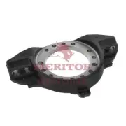 Meritor 3215S2255 Torque Plate