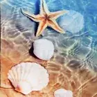 Whitley Willows Sea Shell Beach Towel Reversible Microfiber Yoga Gym Pool Travel