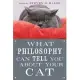 What Philosophy Can Tell You about Your Cat