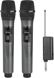 Snblzhef WN043 Wireless Microphone 2 Channels UHF Fixed Frequency Handheld Mic Karaoke Professional Church Show Meeting