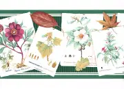 Country Seed Pack Packet Red Burgundy Flower Floral Green Wallpaper Border