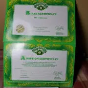Vintage 1990s Cabbage Patch Kids Birth Certificate