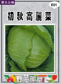 在飛比找露天拍賣優惠-【野菜部屋~】E01 日本初秋高麗菜種子9公克 , 梨山高麗