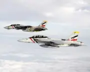 F-14/F-14D TOMCAT & F-18/F/A-18F HORNET 8x10 GLOSSY PHOTO PRINT