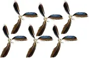 Replacement Feathers for Cat Toy | Replacement Cat Teaser Feather | Attractive Teaser Refill Chaser Exercise Supplies for Home Use