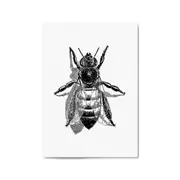 Worker Bee Drawing Insect Honey Wall Art