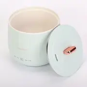 Electric Mini Rice Cooker Portable Steamer Soup Cooking Stew Pot 1-3 Person