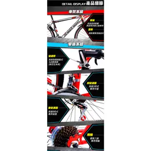 【StepDragon】SRS-380 高碳鋼異型管 搭配 24速 建大外胎 彎把公路車-DIY版