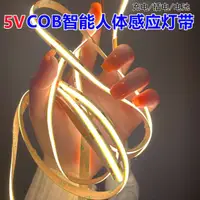 在飛比找蝦皮購物優惠-led燈條 12v led燈條 usb 5V低壓COB智能人