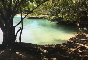 恰帕斯雲朵旅館