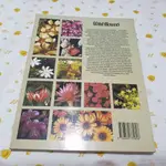 姜小舖原文書南非野生花卉圖鑑WILD FLOWERS OF SOUTH AFRICA全彩頁面精美圖片 1990年版銅版紙