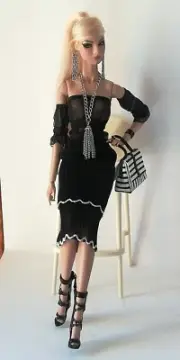Top,skt only if intere on her accessories let me know for pricing doll not inclu