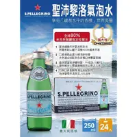 在飛比找蝦皮購物優惠-義大利S.PELLEGRION 聖沛黎洛氣泡水250ml*2