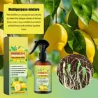 Organic Liquid Fertilizer Concentrated Growth Spray for Lemon Tree 100ml