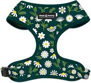 Adjustable Pet Harness and Leash Set—no-Pull, Lightweight, Breathable, Soft-Padded, Escape-Proof Comfortable for Puppies,Small Dogs,Cats,All Fur Animals. Leash for Easy Walks (Medium, Floral)