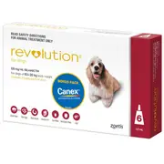 Revolution Dog Red