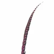 30" to 38" Lady Amherst Pheasant Side Tail Feather - Hot Pink ((SECONDS))
