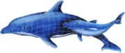 Dolphin Pair Ceramic Swimming Pool Mosaic (24" x 57")