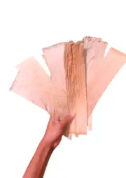 DRIED BANANA LEAVES ORGANIC PET SUPPLIES FISH AQUARIUM SHRIMP CLEANING 150PCS